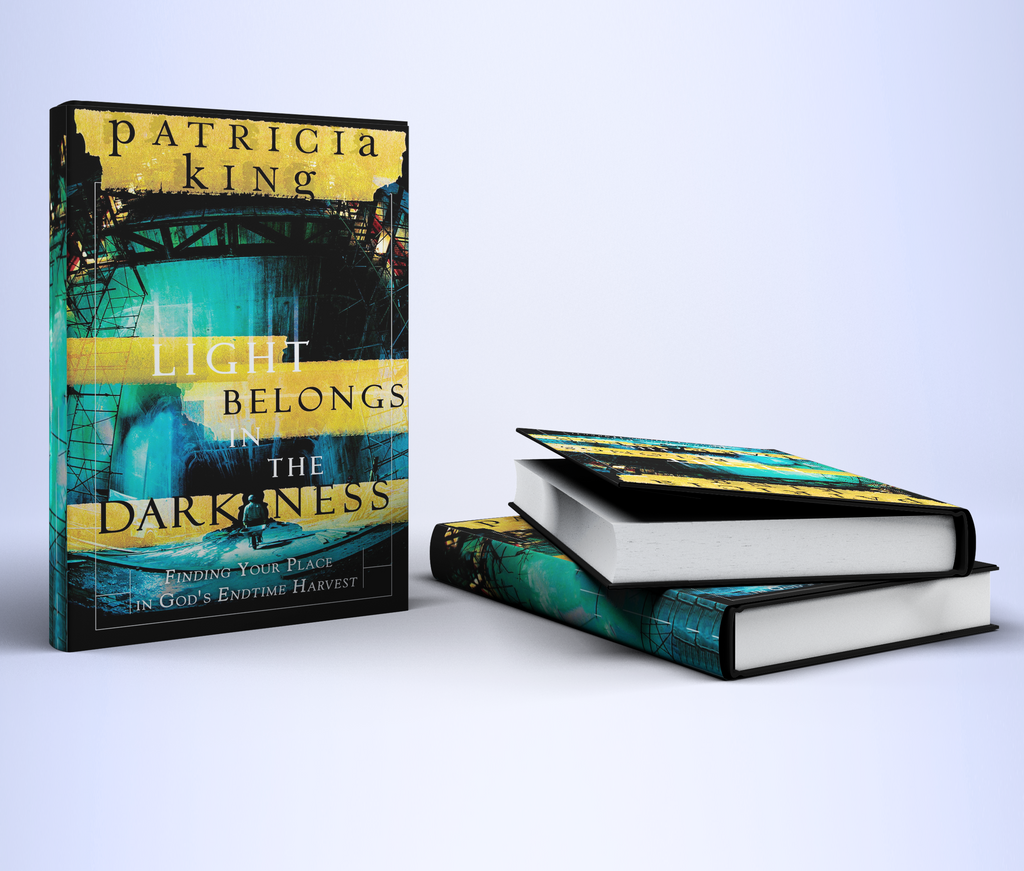 Light Belongs in the Darkness - Book by Patricia King