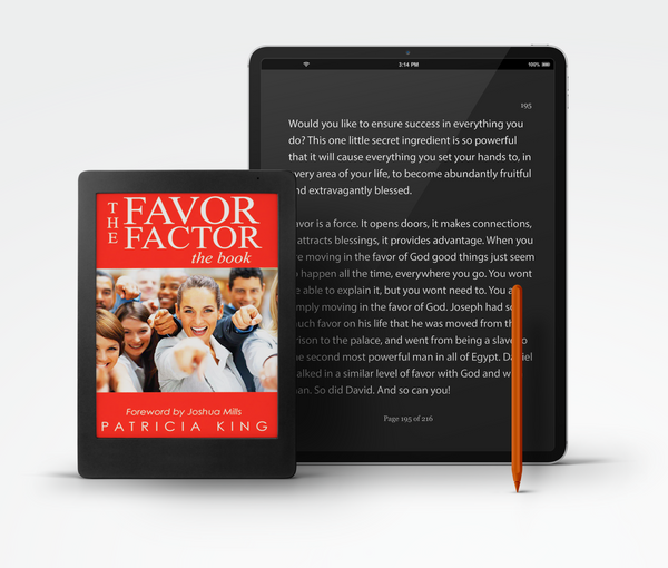 Favor Factor - "E-Book"