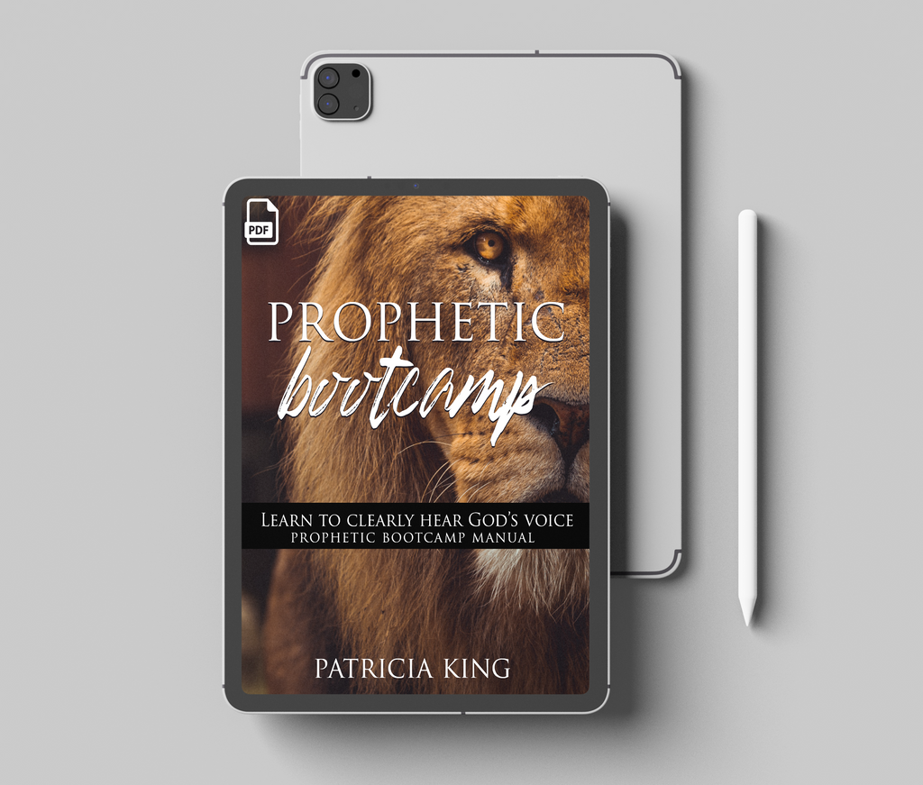 Prophetic Boot Camp –  "MP3 Downloads (Audio)" or "E-Manual (PDF)" by Patricia King & Robert Hotchkin