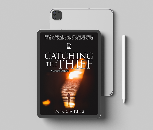 Catching the Thief by Patricia King Manual (PDF)